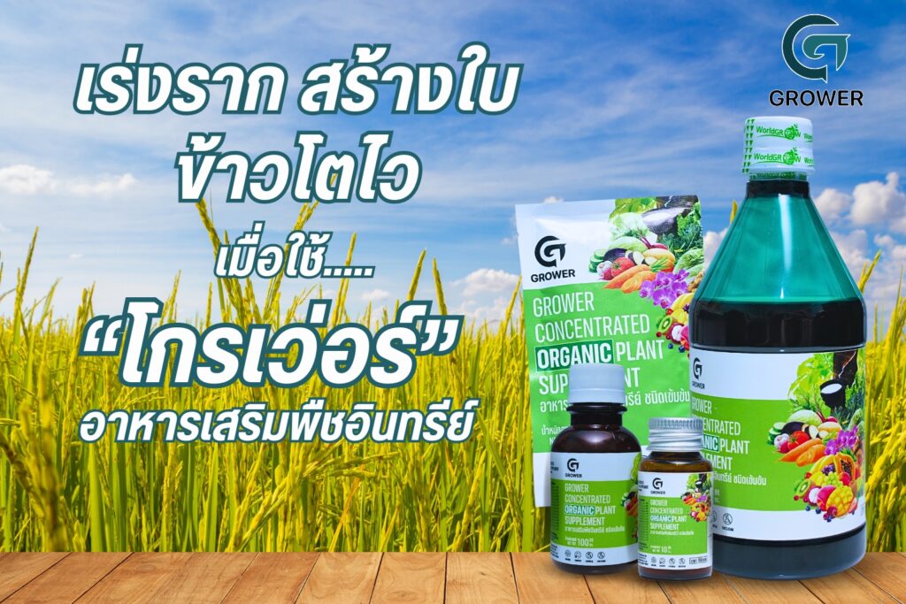 26Cover-Grower:.jpg