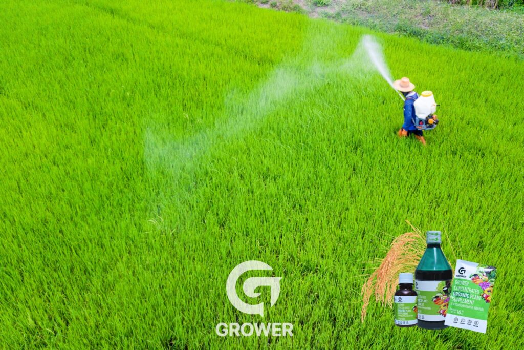 35Cover-Grower:.jpg