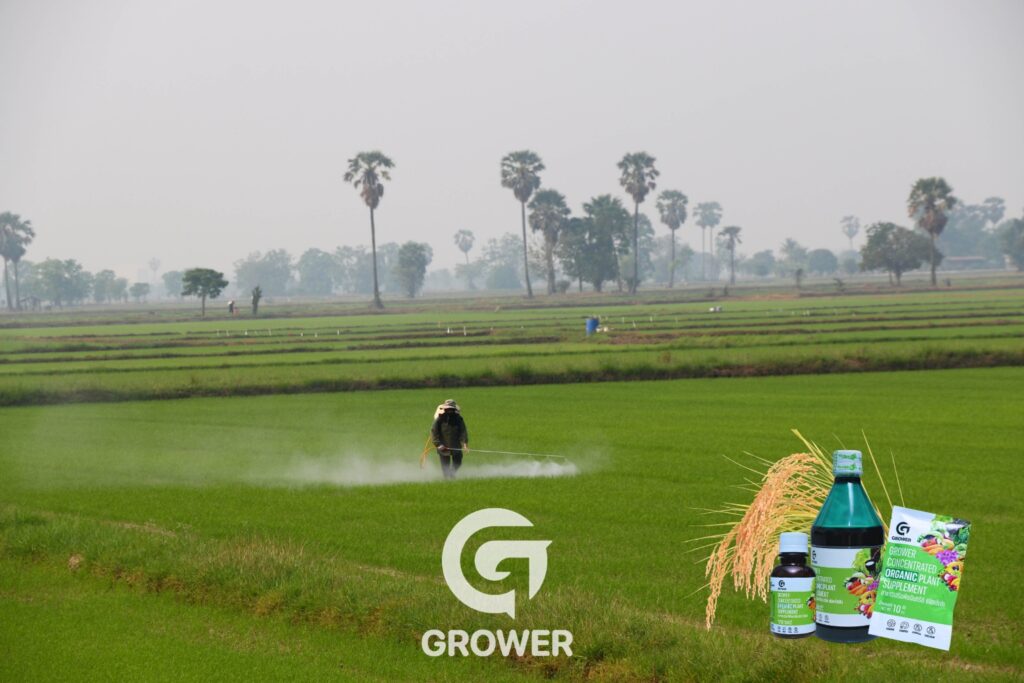 36Cover-Grower:.jpg