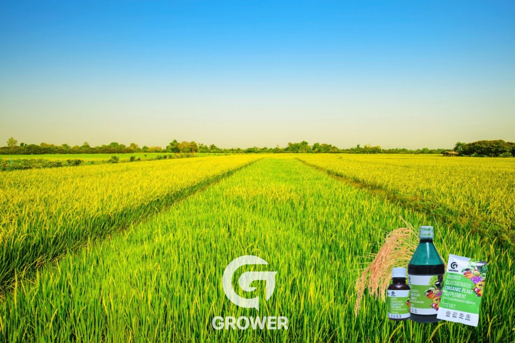 37Cover-Grower:.jpg